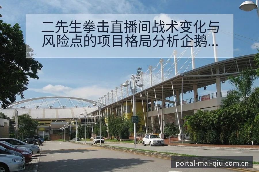 二先生拳击直播间战术变化与风险点的项目格局分析企鹅体育 - 买球站
